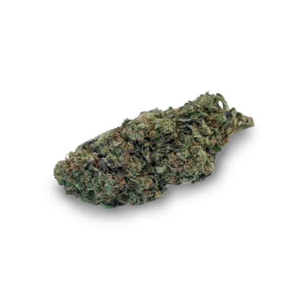 Handverlesene CBD Cannabis-Blüte Rhabarbie, sorgfältig kultiviert und reich an Terpenen, isoliert auf weißem Hintergrund für Gesundheit und Entspannung.