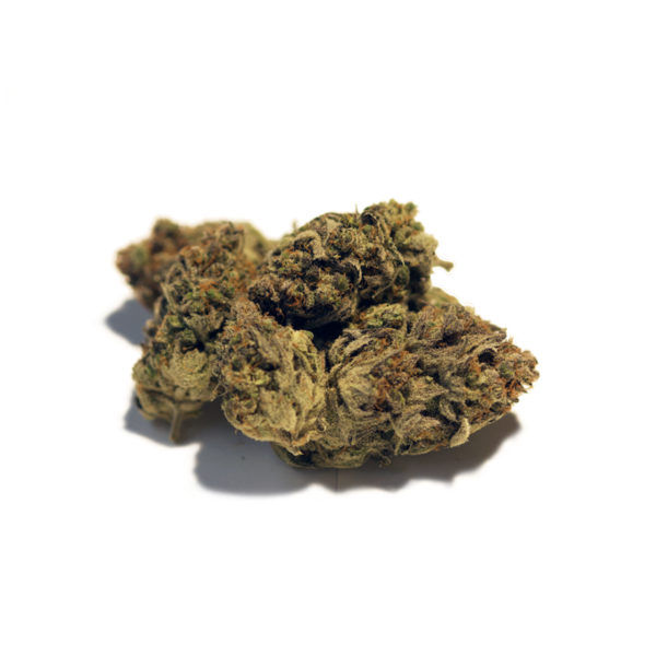 Hochwertige Silver Cream CBD-Cannabisblüten auf hellem Hintergrund, angeboten für wohltuende Wellness-Erlebnisse.