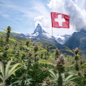 Legalisierung Cannabis Schweiz mit Schweizer Fahne in den Bergen
