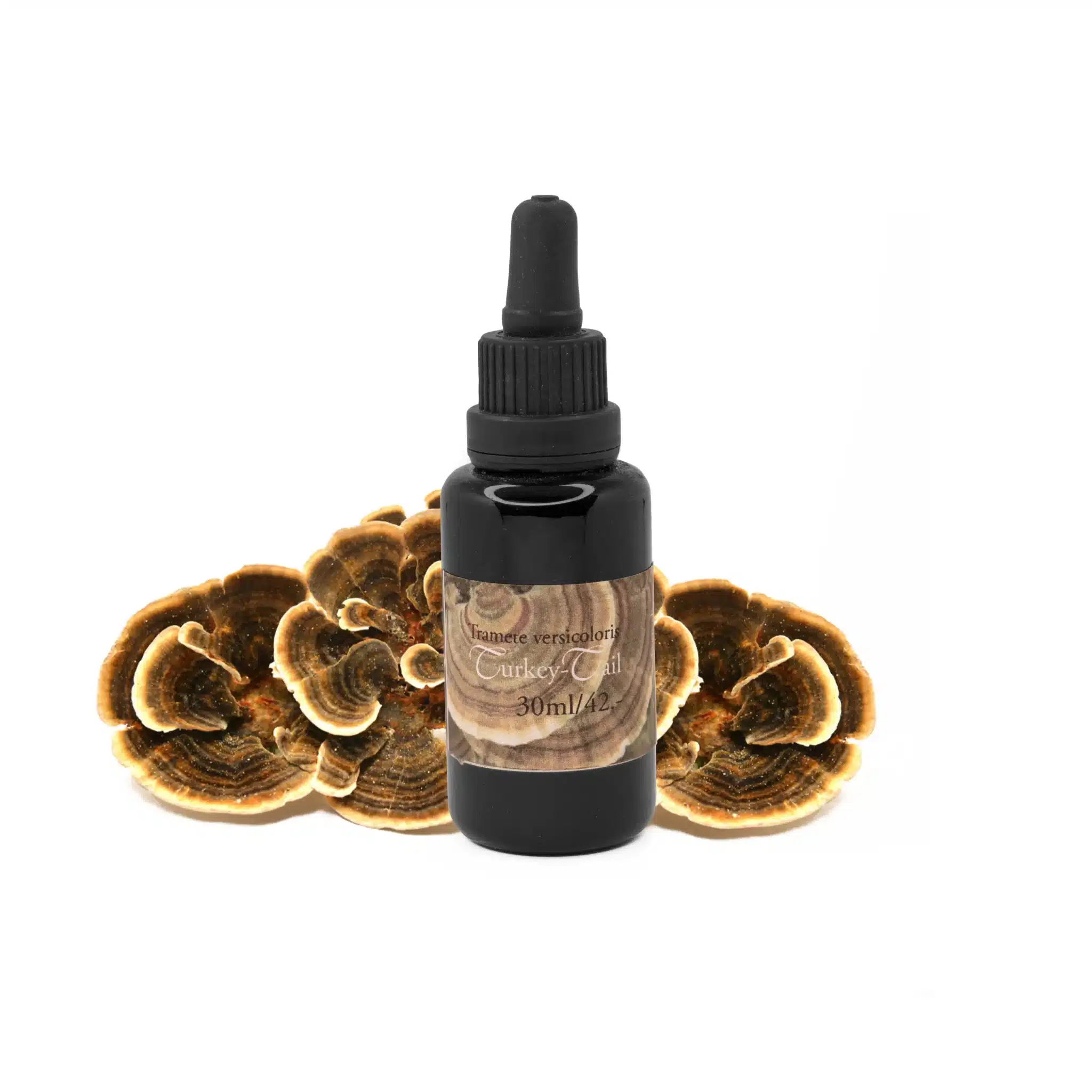 Schwarze Tropfflasche mit der Aufschrift 'Turkey Tail Extract 30ml/42.-' vor mehreren frischen Turkey Tail Pilzen (Trametes versicolor) mit braun-beiger, fächerartiger Struktur auf weißem Hintergrund.