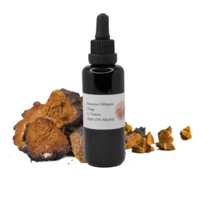 Fläschchen mit Chaga-Extrakt (Inonotus obliquus) vor getrockneten Chaga-Pilzstücken