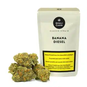 Qualicann Banana Diesel CBD-Blüten vor der passenden Classic-Strain-Verpackung auf hellem Hintergrund