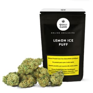 Qualicann Lemon Ice Puff CBD-Blüten in schwarzer Verpackung mit mehreren hellgrünen, harzigen Cannabisblüten auf hellem Hintergrund