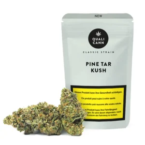 Qualicann Pine Tar Kush CBD-Blüten im mintgrünen Standbeutel mit dunklen, harzigen Cannabisbuds im Vordergrund